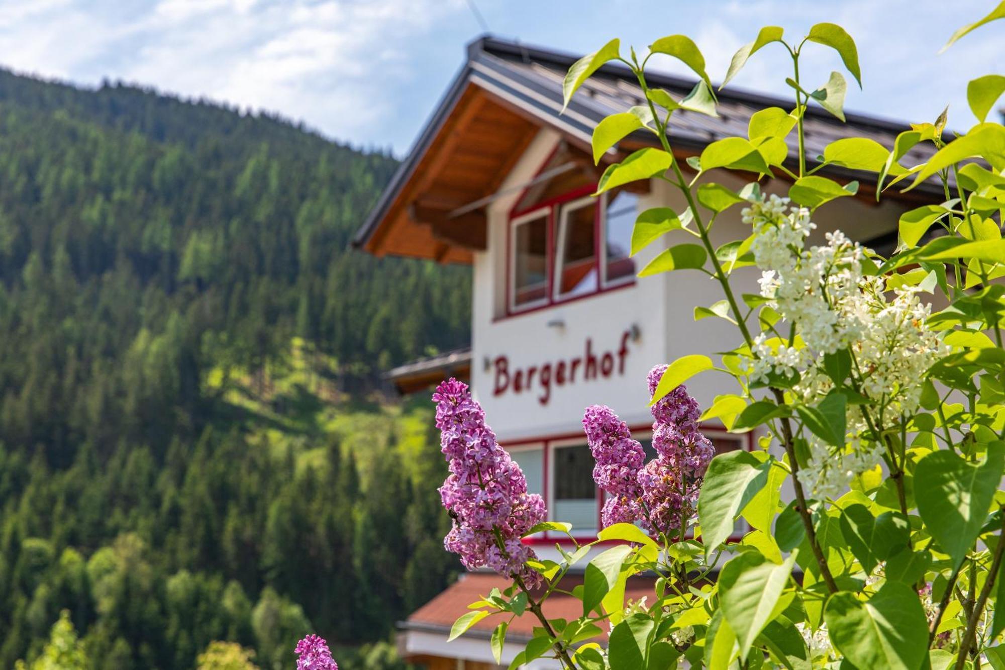 Готель Bergerhof Рамзау-ам-Дахштайн Екстер'єр фото